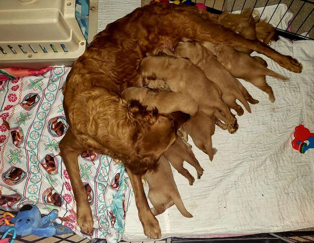They are growing up fast!